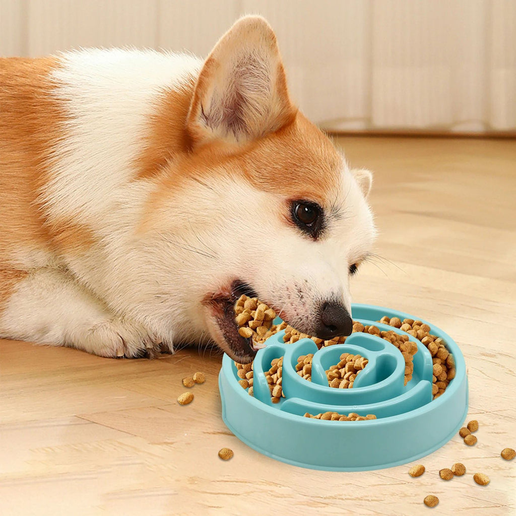 Pet Dog Slow Feeder Bowl Non Slip Anti-Gulping Slower Food Feeding Dishes Eco Dog Bowl For Large Medium Small Dogs Puppy