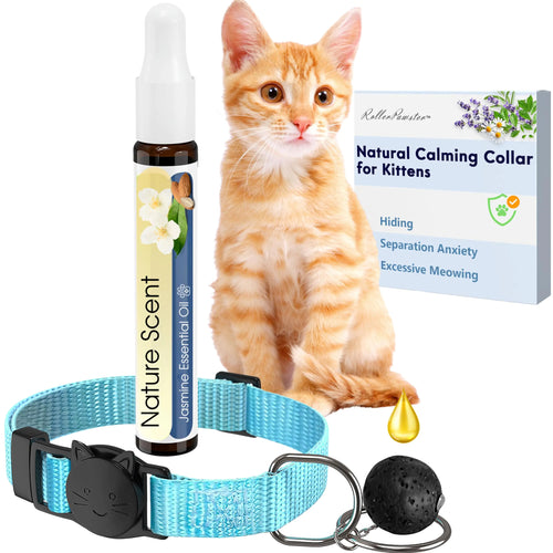 Purrfect Peace Cat Collar