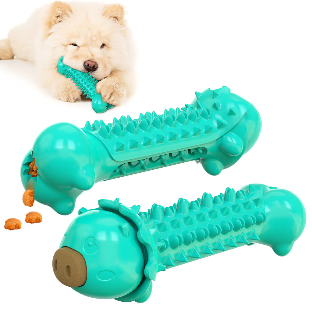 Molar Stick Dog Toothbrush and Chew Toy