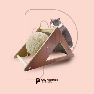 Pet Toys & Accessories