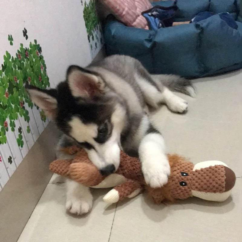 Exciting Corgi-Husky Pet Toys to Banish Boredom