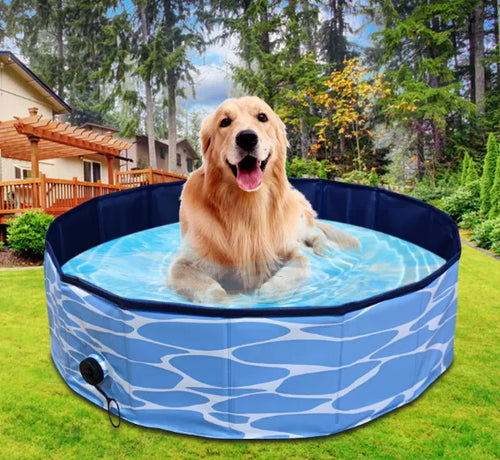 Foldable PVC Dog & Pet Pool