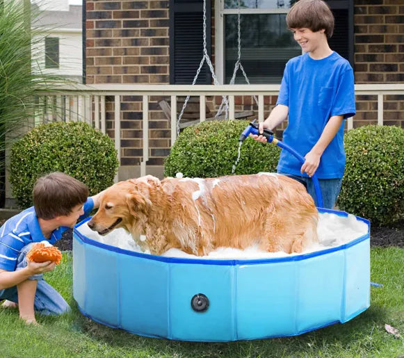 Foldable PVC Dog & Pet Pool