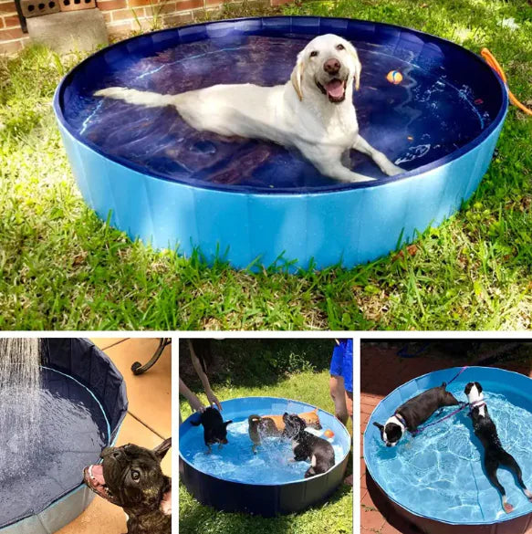 Foldable PVC Dog & Pet Pool